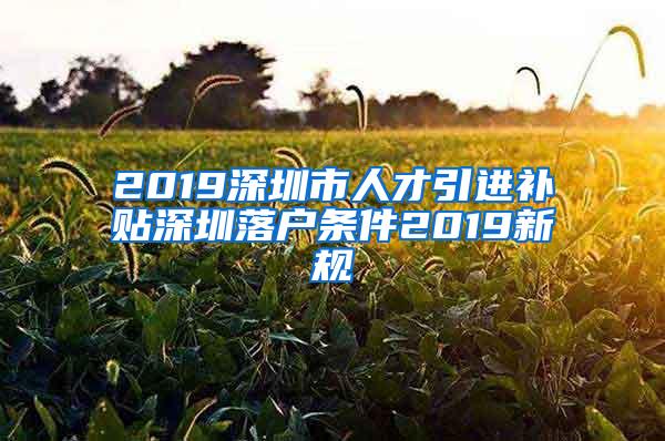 2019深圳市人才引進補貼深圳落戶條件2019新規(guī)