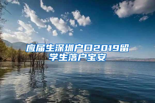 應(yīng)屆生深圳戶口2019留學(xué)生落戶寶安