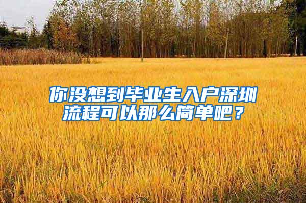 你沒想到畢業(yè)生入戶深圳流程可以那么簡單吧？