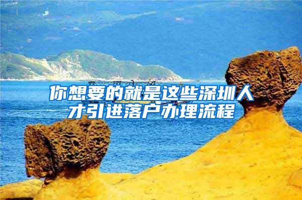 你想要的就是這些深圳人才引進落戶辦理流程