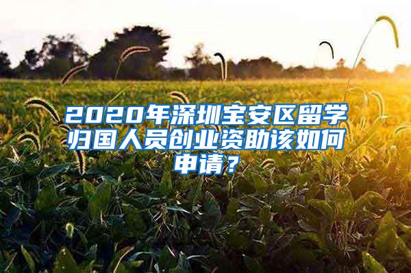 2020年深圳寶安區(qū)留學歸國人員創(chuàng)業(yè)資助該如何申請？