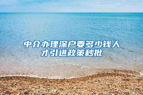 中介辦理深戶要多少錢人才引進(jìn)政策秒批