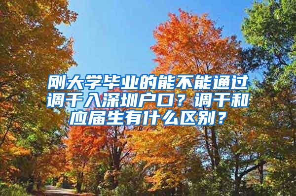 剛大學畢業(yè)的能不能通過調干入深圳戶口？調干和應屆生有什么區(qū)別？