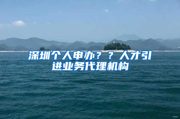 深圳個人申辦？？人才引進(jìn)業(yè)務(wù)代理機(jī)構(gòu)