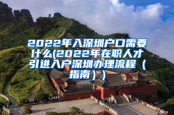 2022年入深圳戶口需要什么(2022年在職人才引進(jìn)入戶深圳辦理流程（指南）)