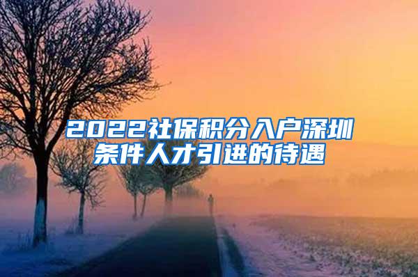 2022社保積分入戶深圳條件人才引進的待遇