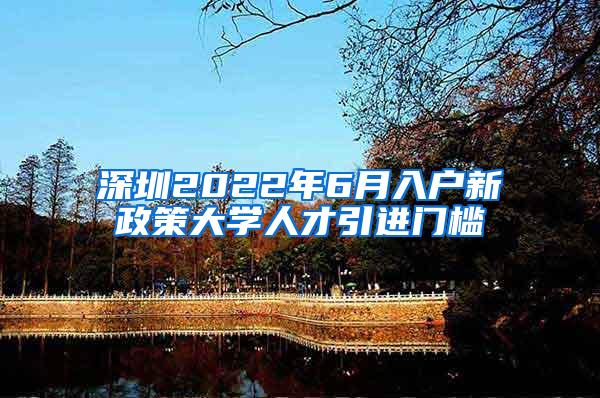 深圳2022年6月入戶新政策大學(xué)人才引進門檻