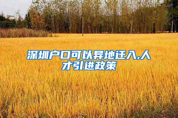 深圳戶口可以異地遷入,人才引進政策