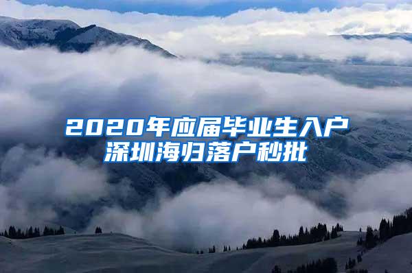 2020年應(yīng)屆畢業(yè)生入戶深圳海歸落戶秒批