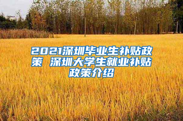 2021深圳畢業(yè)生補(bǔ)貼政策 深圳大學(xué)生就業(yè)補(bǔ)貼政策介紹