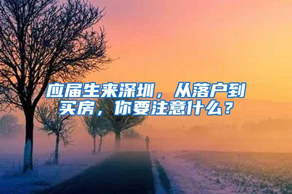 應(yīng)屆生來深圳，從落戶到買房，你要注意什么？