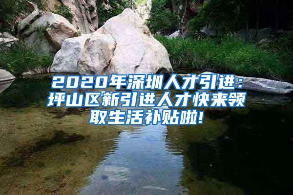 2020年深圳人才引進(jìn)：坪山區(qū)新引進(jìn)人才快來(lái)領(lǐng)取生活補(bǔ)貼啦!