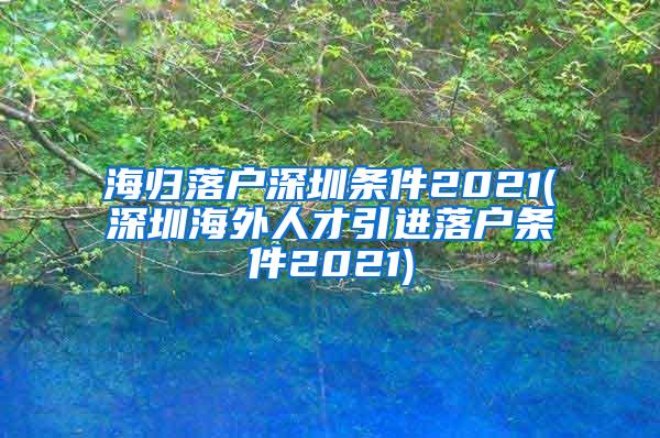 海歸落戶(hù)深圳條件2021(深圳海外人才引進(jìn)落戶(hù)條件2021)