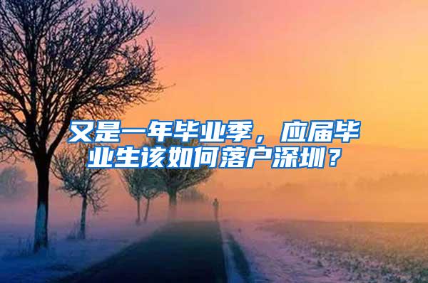 又是一年畢業(yè)季，應(yīng)屆畢業(yè)生該如何落戶深圳？