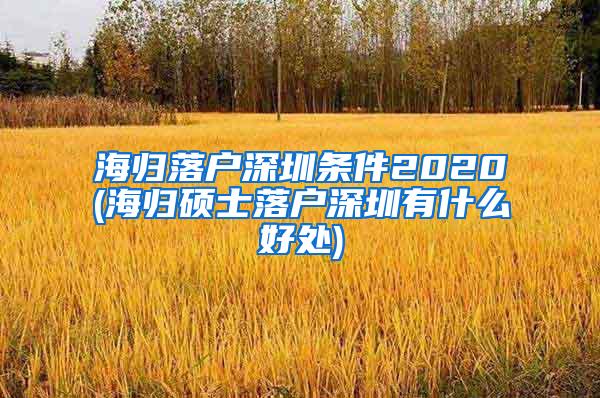 海歸落戶深圳條件2020(海歸碩士落戶深圳有什么好處)