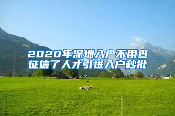 2020年深圳入戶不用查征信了人才引進(jìn)入戶秒批