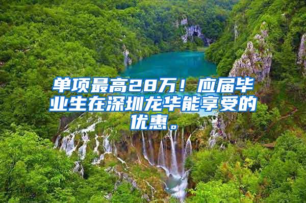 單項最高28萬！應(yīng)屆畢業(yè)生在深圳龍華能享受的優(yōu)惠。