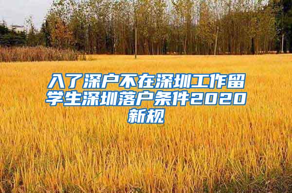 入了深戶不在深圳工作留學(xué)生深圳落戶條件2020新規(guī)