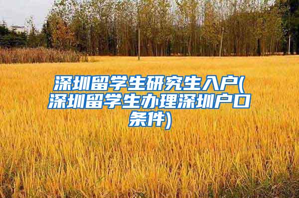 深圳留學(xué)生研究生入戶(深圳留學(xué)生辦理深圳戶口條件)