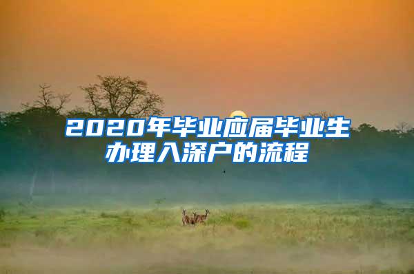 2020年畢業(yè)應(yīng)屆畢業(yè)生辦理入深戶的流程