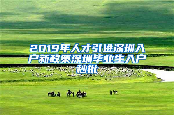 2019年人才引進深圳入戶新政策深圳畢業(yè)生入戶秒批