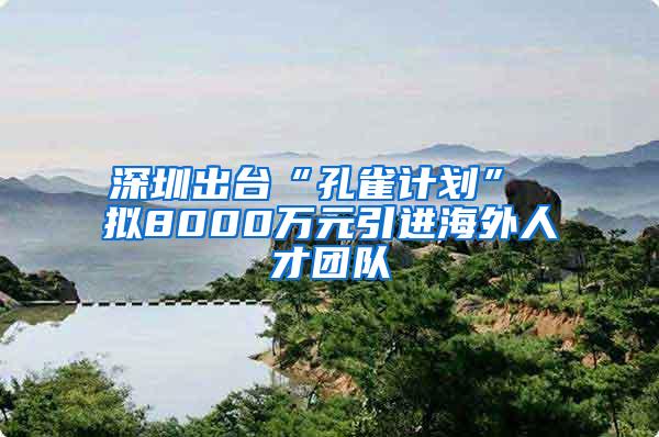 深圳出臺“孔雀計劃” 擬8000萬元引進(jìn)海外人才團(tuán)隊