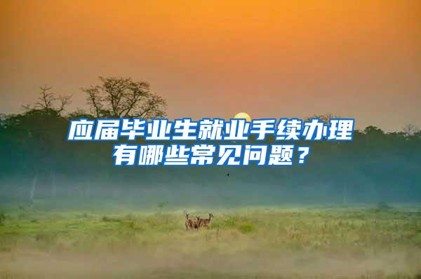 應(yīng)屆畢業(yè)生就業(yè)手續(xù)辦理有哪些常見問題？