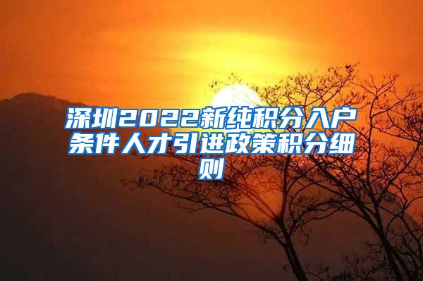 深圳2022新純積分入戶條件人才引進(jìn)政策積分細(xì)則