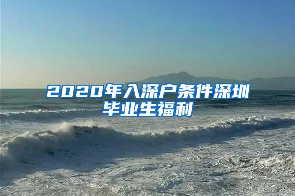 2020年入深戶條件深圳畢業(yè)生福利