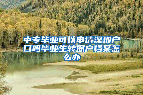 中專畢業(yè)可以申請深圳戶口嗎畢業(yè)生轉(zhuǎn)深戶檔案怎么辦