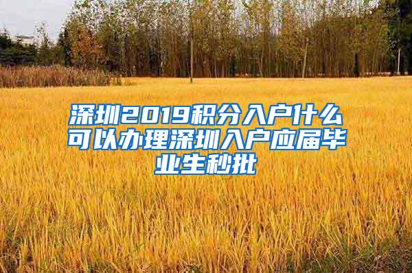 深圳2019積分入戶什么可以辦理深圳入戶應(yīng)屆畢業(yè)生秒批