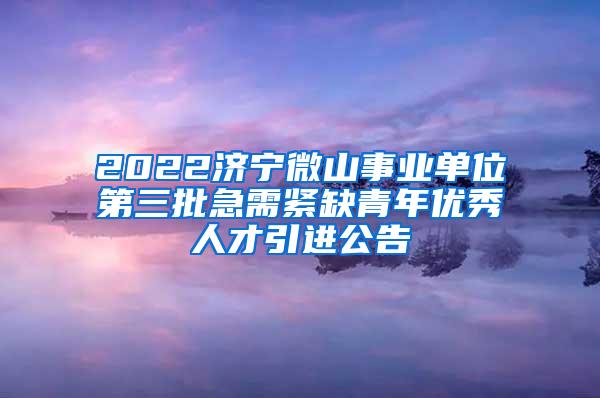 2022濟寧微山事業(yè)單位第三批急需緊缺青年優(yōu)秀人才引進公告