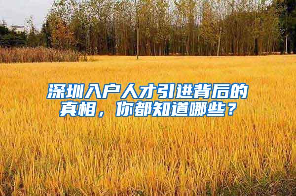 深圳入戶人才引進背后的真相，你都知道哪些？