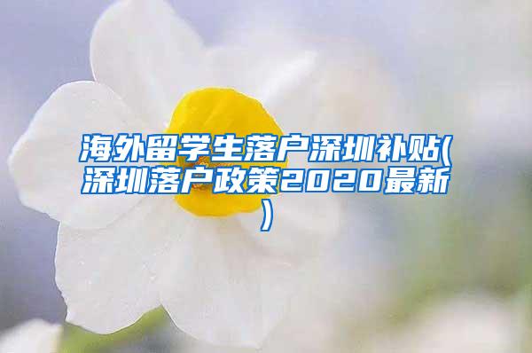 海外留學生落戶深圳補貼(深圳落戶政策2020最新)