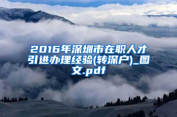 2016年深圳市在職人才引進辦理經驗(轉深戶)_圖文.pdf