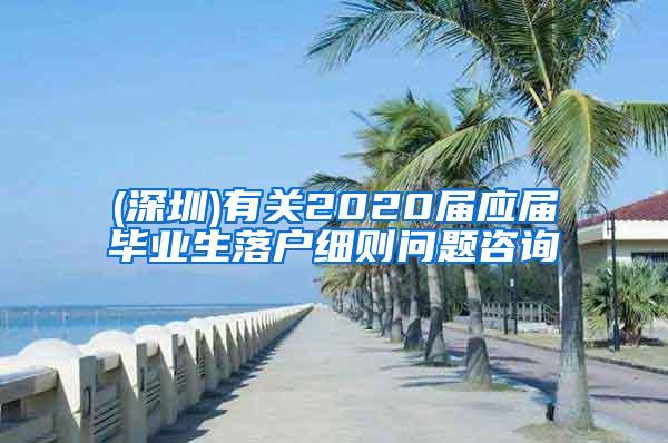 (深圳)有關(guān)2020屆應(yīng)屆畢業(yè)生落戶細(xì)則問(wèn)題咨詢