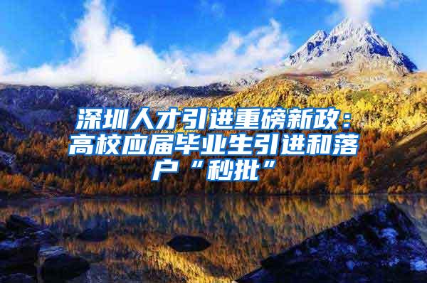 深圳人才引進(jìn)重磅新政：高校應(yīng)屆畢業(yè)生引進(jìn)和落戶“秒批”