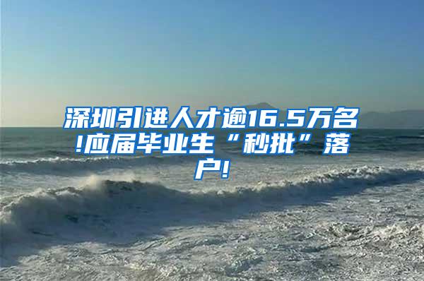 深圳引進(jìn)人才逾16.5萬名!應(yīng)屆畢業(yè)生“秒批”落戶!