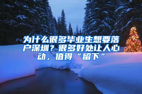 為什么很多畢業(yè)生想要落戶深圳？很多好處讓人心動，值得“留下”