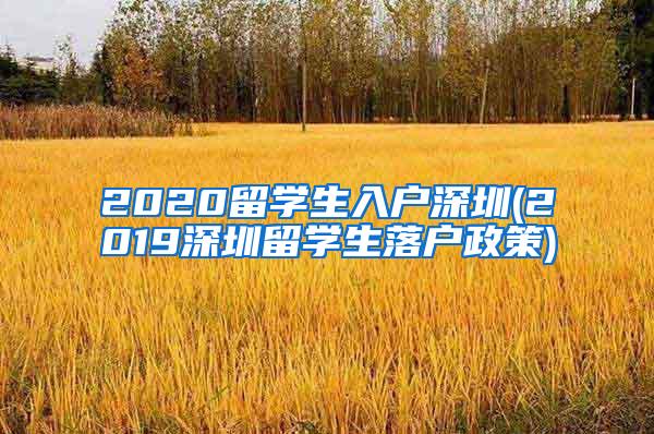 2020留學(xué)生入戶深圳(2019深圳留學(xué)生落戶政策)