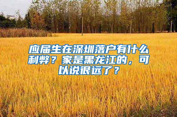 應(yīng)屆生在深圳落戶(hù)有什么利弊？家是黑龍江的，可以說(shuō)很遠(yuǎn)了？