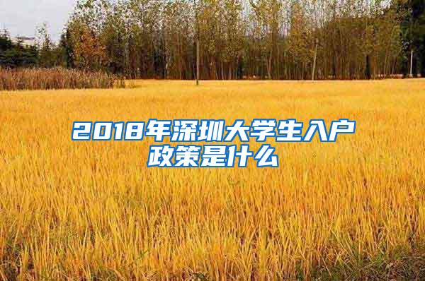 2018年深圳大學(xué)生入戶政策是什么