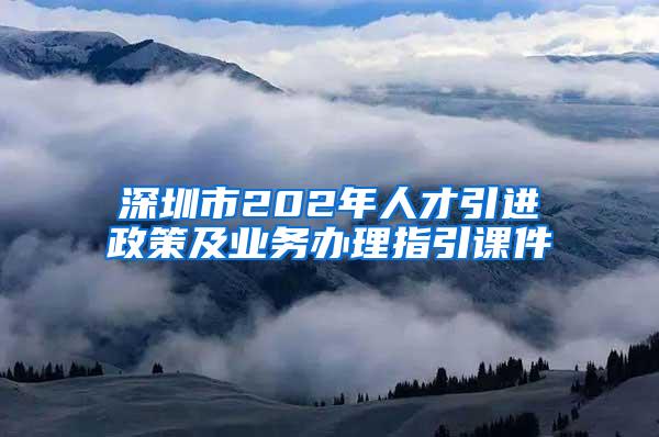 深圳市202年人才引進政策及業(yè)務(wù)辦理指引課件