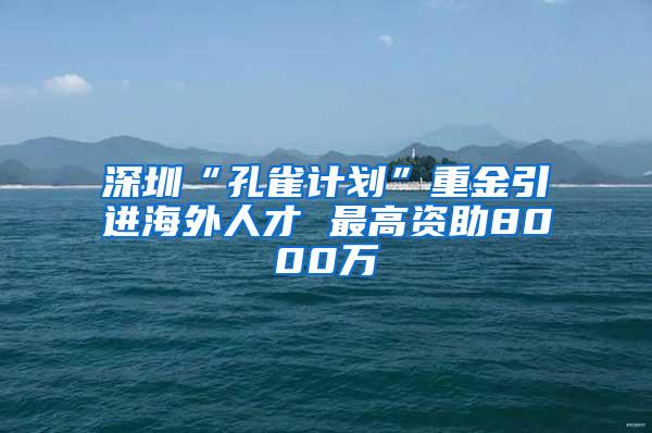 深圳“孔雀計劃”重金引進海外人才 最高資助8000萬