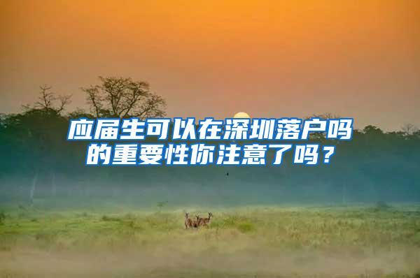 應(yīng)屆生可以在深圳落戶嗎的重要性你注意了嗎？