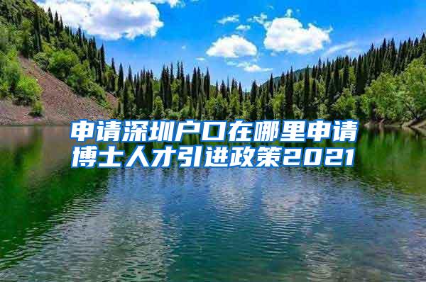 申請深圳戶口在哪里申請博士人才引進(jìn)政策2021