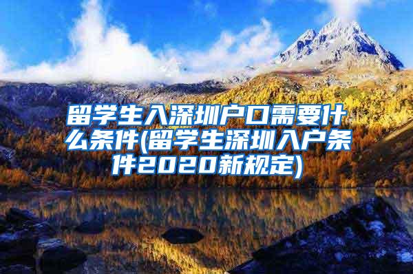 留學生入深圳戶口需要什么條件(留學生深圳入戶條件2020新規(guī)定)