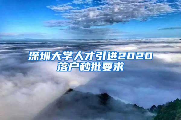 深圳大學(xué)人才引進(jìn)2020落戶秒批要求