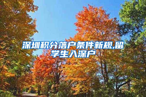 深圳積分落戶條件新規(guī),留學(xué)生入深戶