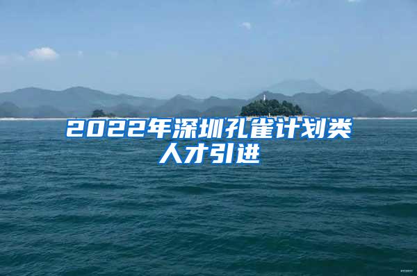 2022年深圳孔雀計(jì)劃類人才引進(jìn)